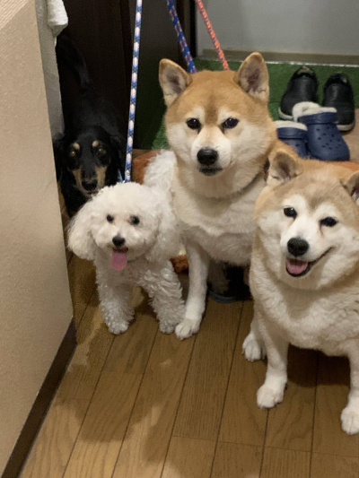 8163