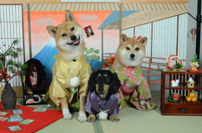 8163