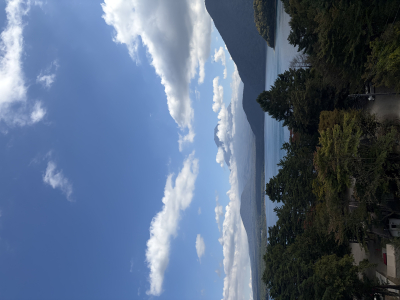 陵介